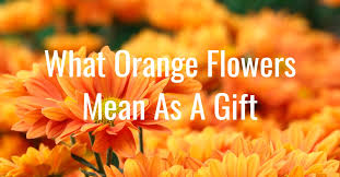 what orange flowers mean as a surprise gift