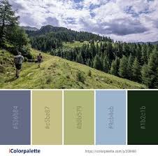Color Palette Ideas From 3368 Nature