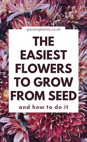 Minimal equipment is needed and all you need to do is provide the basic. Flower Gardening For Beginners 12 Easy Flowers To Grow From Seed Growing Family