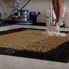 middletown nj area rug cleaning service
