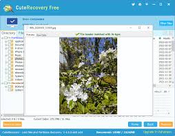 recover deleted photos from memory