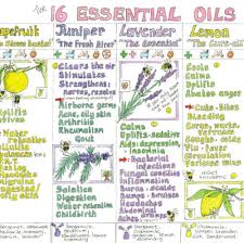 Essential Oils Guide Handy Therapist Chart