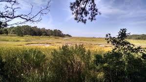 Beautiful Anytime Of The Year Review Of Wellfleet Bay