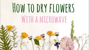 how to press flowers in the microwave