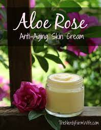 aloe rose anti aging skin cream