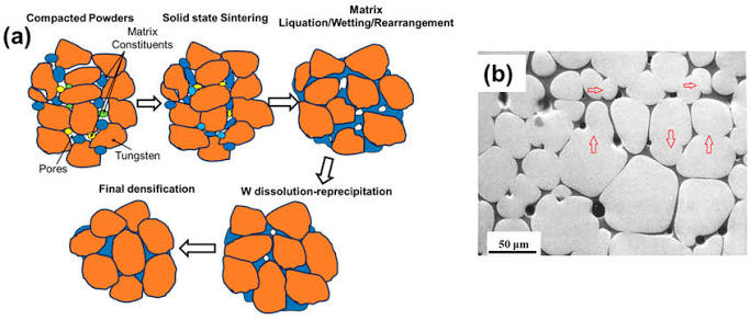 Processing, Microstructure, and Mechanical Behavior of Tungsten Heavy Alloys for Kinetic Energy Penetrators: A Critical Review