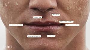 lip shape overview causes treatment