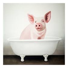 Bathtub Pig Canvas Wall Art 12