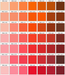 Tones Of Red In 2019 Pms Color Chart Pantone Color Chart