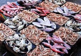 أسعار الأسماك اليوم السبت 10 فبراير 2024 في سوق العبور - اخبار لايف