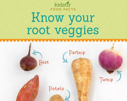 What Are Root Vegetables Kidstir
