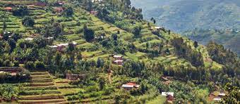 Beste Reisezeit Ruanda, Klima & Wetter