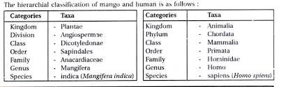 Classification And Nomenclature Of Organism
