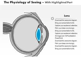 0514 physiology of seeing eye anatomy