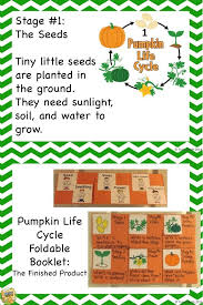Pumpkin Life Cycle Science Unit With Math And Ela
