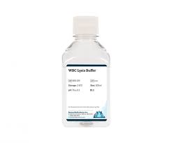 wbc lysis buffer boston bios