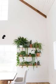 Las plantas también forman parte de la decoración de la casa. Decoracion Con Plantas Resistentes Blog De Decoracion Nordica Avabanana