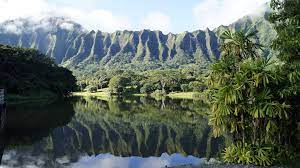 Foster, hoomaluhia, koko crater, liliuokalani and wahiawa. A Guide To Exploring Oahu S Botanical Gardens Oahu Wheretraveler