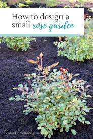 How To Design A Small Rose Garden