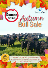 Dunoon Autumn Bull Sale 2023 by Angus Australia - Issuu