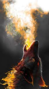 100 fire wolf wallpapers wallpapers com
