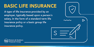 Basic Life Insurance Insurance gambar png