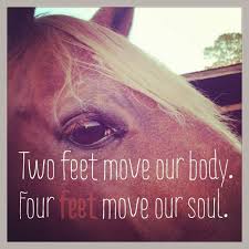 Horse Quotes | Horse Sayings | Horse Picture Quotes
