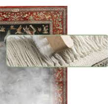 carpet and upholstery cleaning service