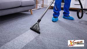 carpet cleaning winter haven fl