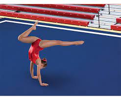 gymnastics mats by dollamur