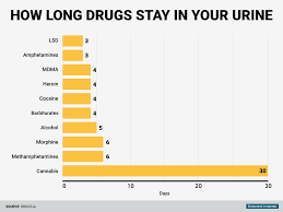 Heres How Long Various Drugs Stay In Your Body Business