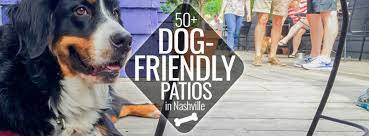 50 dog friendly patios in nashville
