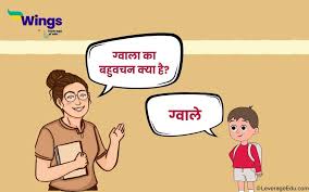 mera desh essay in hindi पर क ष