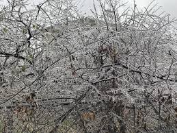 frustrated texans endure winter storm