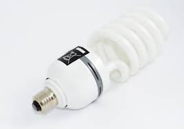 Compact Fluorescent Light Bulb