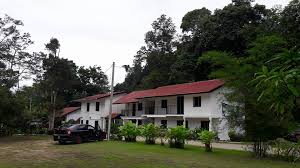 The village was first settled by three bentong villagers in 1930 who moved when the city was flooded in. 18 Tempat Menarik Di Janda Baik Percutian Yang Mendamaikan Ammboi