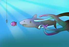 If sharks decline to seriously low numbers this shark food chain activity is a creative way for students to learn how the food chain works. Food Chain Stock Illustration Illustration Of Fish Shark 10701319