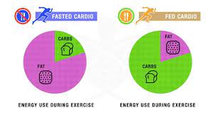 fasted cardio why you should be doing