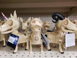 Find great deals on ebay for halloween lot decorations and halloween decorations outdoor. Unicorn Skeleton At Big Lots Halloween Decorations Unicorn Halloween Big Lots