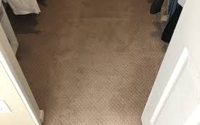 northern arizona carpet repair