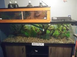 The slate tile is 12 by 12 so it gives your turtle plenty of room to bask. Setting Up The 125 Gallon With My Diy Topper Turtle