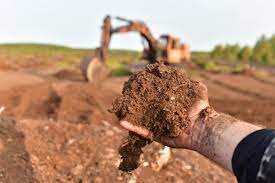 4 reasons to stop using peat moss 7