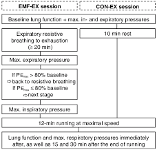 Flow Chart Of Experimental Sessions With Emf Ex And