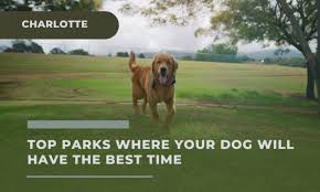 best dog parks in charlotte here is