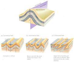 geological folds geology page