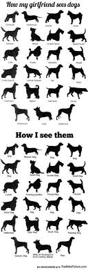 Dog Name Chart Pet Names For Boyfriend Dogs Puppies Pets