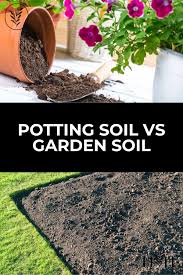 potting soil vs garden soil in your