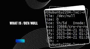 what is dev null