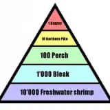 what-are-pyramid-numbers