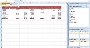 how to format an excel 2010 pivot table